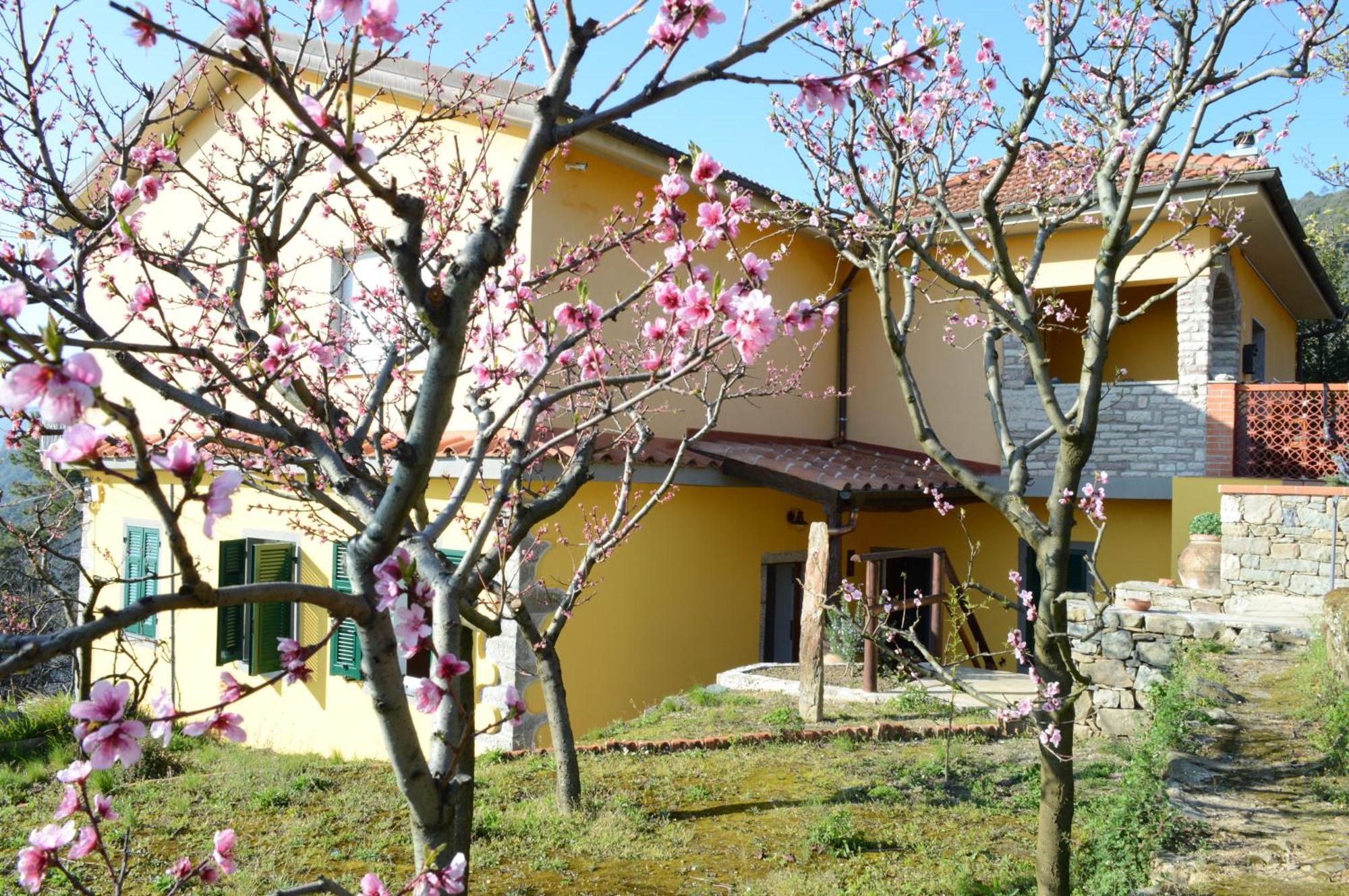 I Tre Grappoli Villa Corniglia Exterior photo